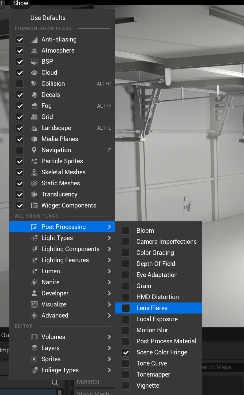 Unreal show flags with post-processing disabled